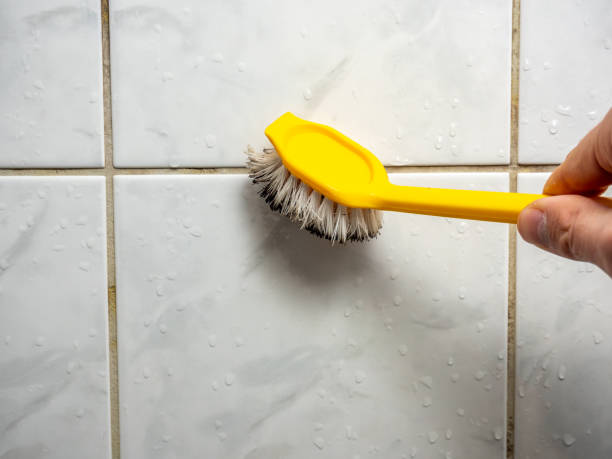 Best Toxic Mold Removal  in Amherst, TX