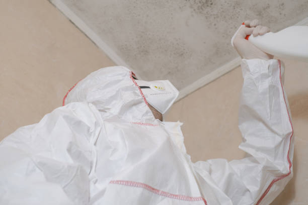 Best Mold Testing  in Amherst, TX