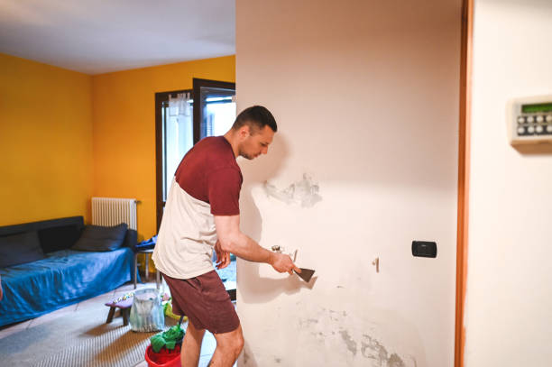 Best Residential Mold Removal  in Amherst, TX
