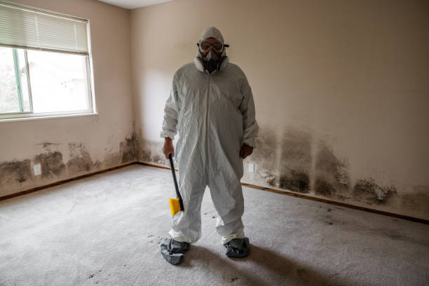 Best Emergency Mold Removal  in Amherst, TX